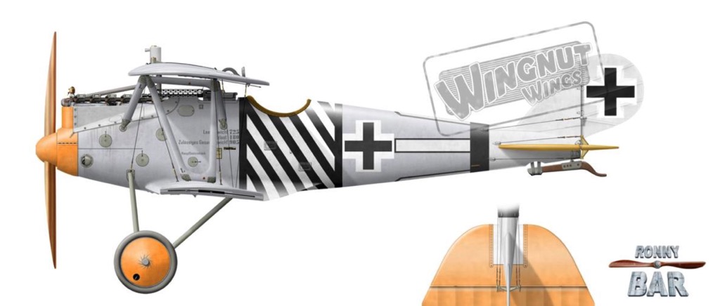 Scalehobbyist.com: Pfalz D.IIIa Flying Circus Pt. 1 Decal