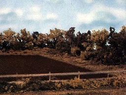 WOODLAND SCENICS   CLASC TREES HEDGE ROW  1-4'  WOO3582 