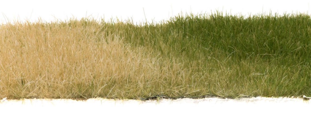 Woodland Scenics 4mm Static Grass Dark Green – Brutal Cities