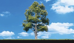 WOODLAND SCENICS   CLASC TREES HEDGE ROW  1-4'  WOO3582 